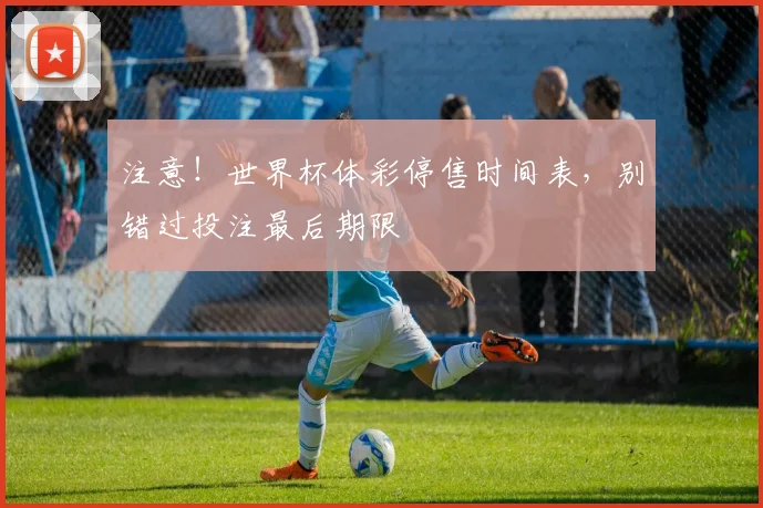 注意!世界杯体彩停售时间表,别错过投注最后期限