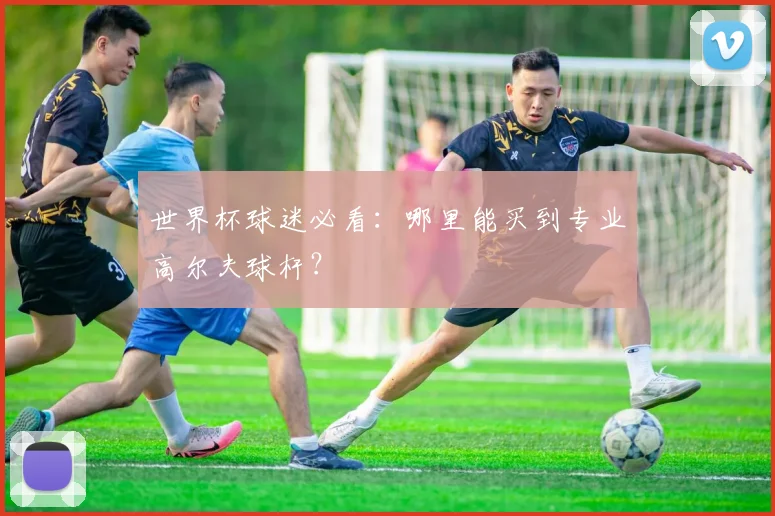 世界杯球迷必看:哪里能买到专业高尔夫球杆?