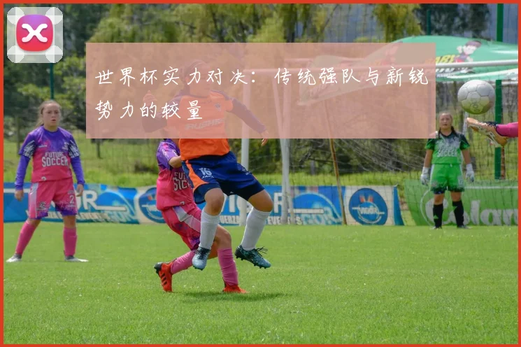世界杯实力对决：传统强队与新锐势力的较量