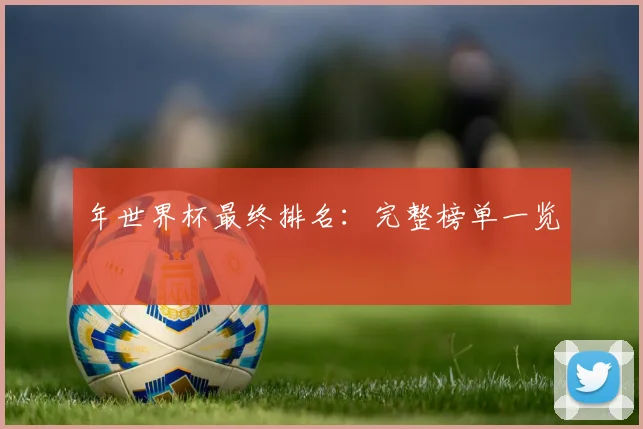 年世界杯最终排名：完整榜单一览