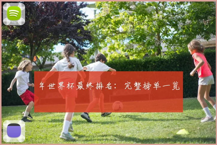 年世界杯最终排名：完整榜单一览
