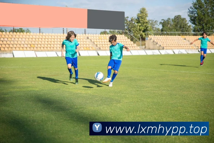 beat365亚洲平台生态图