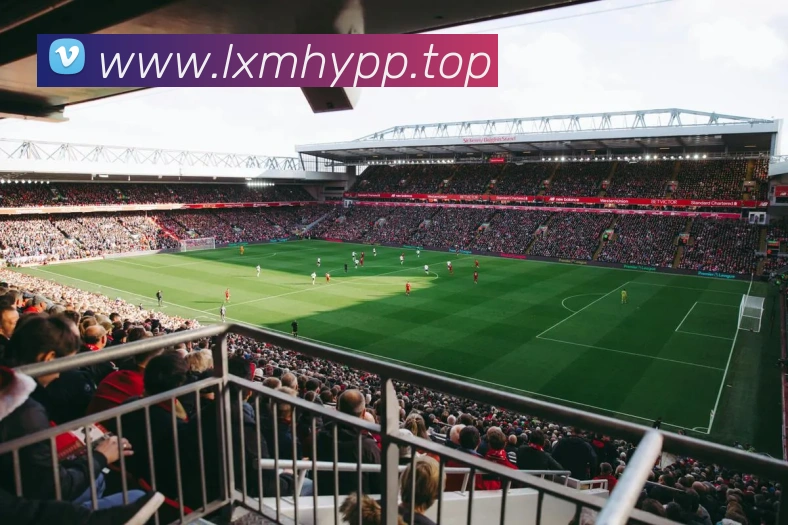 beat365亚洲APP 封面图